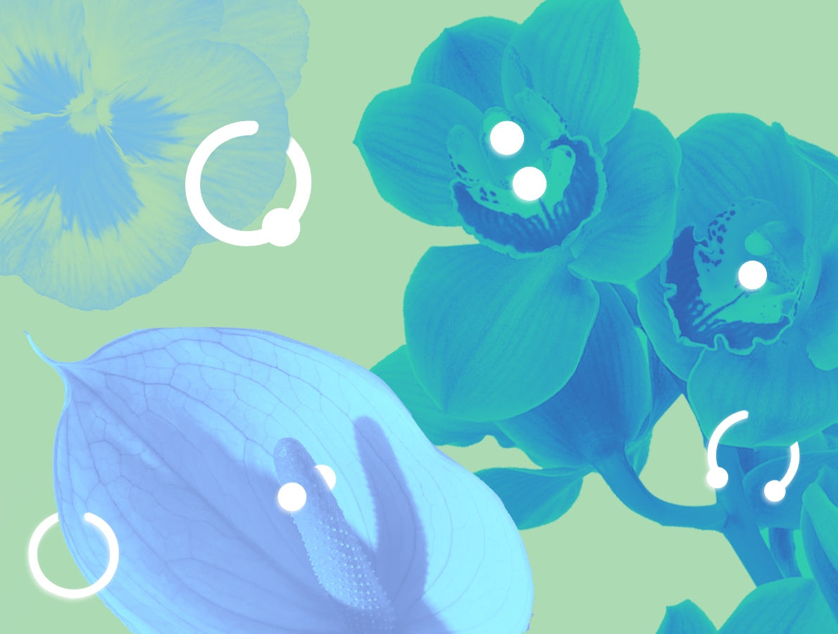 Piercings & Sex Toys