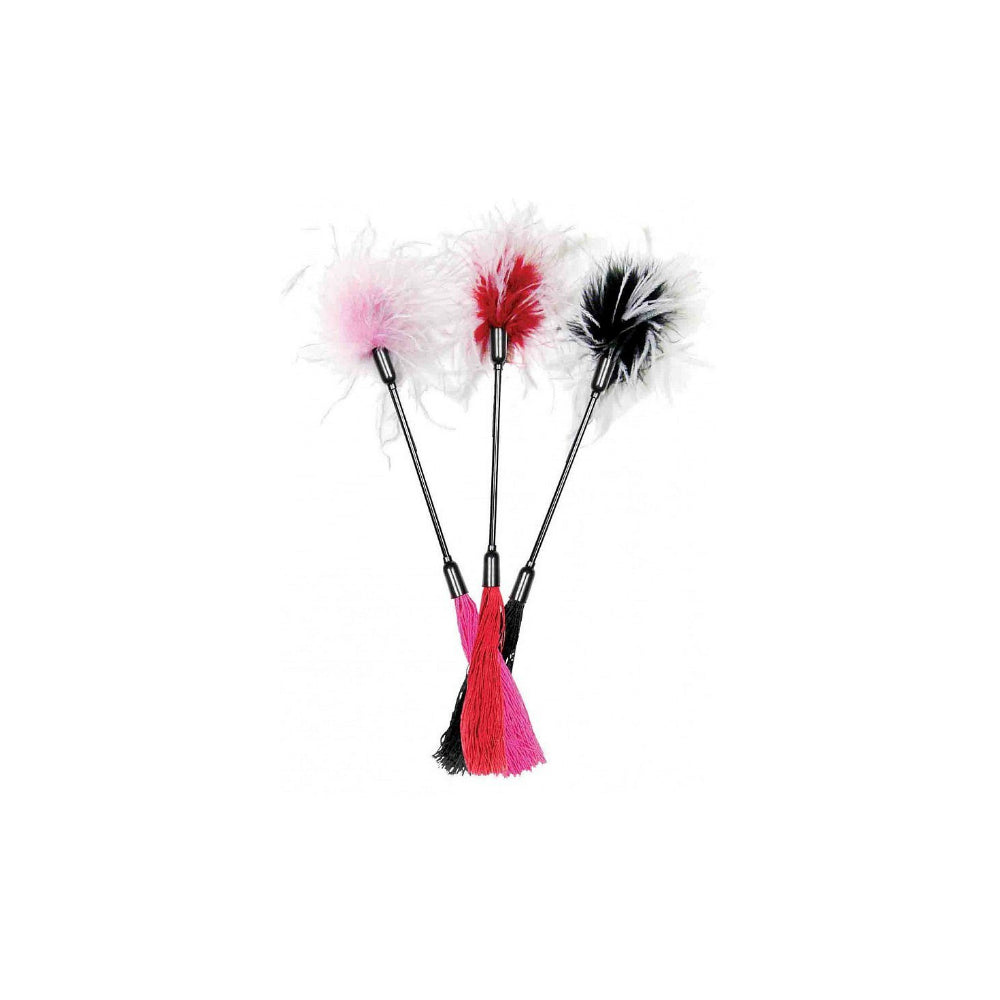 Sportsheets Whip & Tickle Feather and Whip
