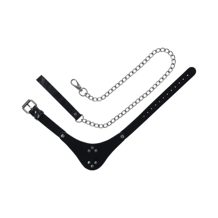 Sportsheets Velvet Noir Collar & Leash With Marbled Design