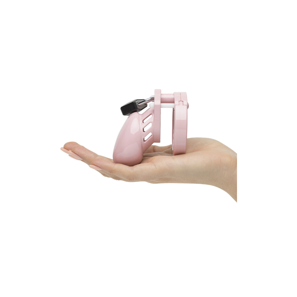 CB-6000S Pink Chastity Cage