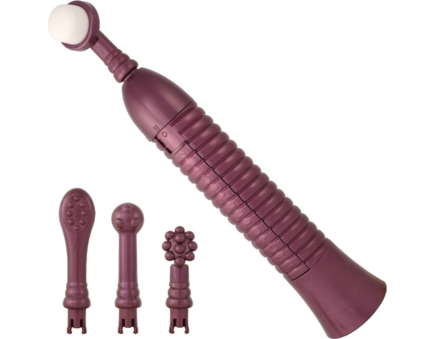 Eroscillator 2 Plus Whisper Quiet Plug In Oscillating Vibrator With Attachments