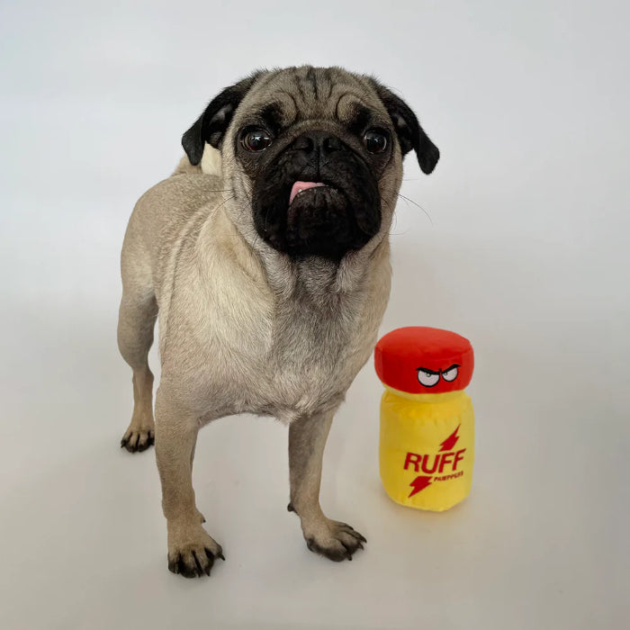 Scruffy Ruff Pawppers Dog Toy
