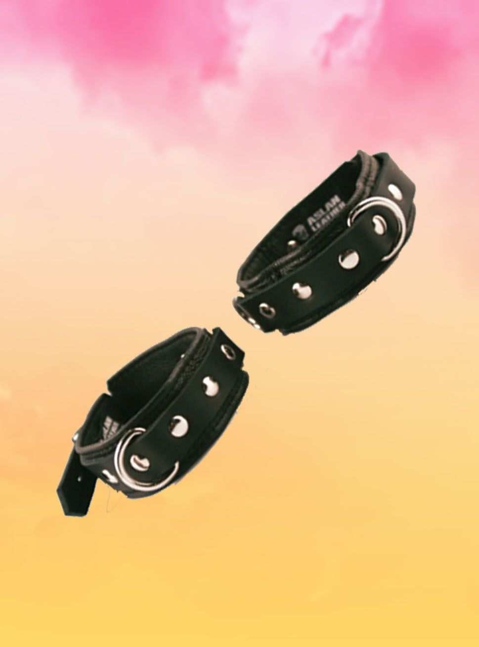 BDSM for Beginners