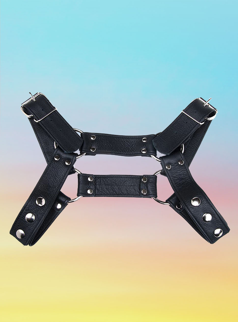 Body Harnesses