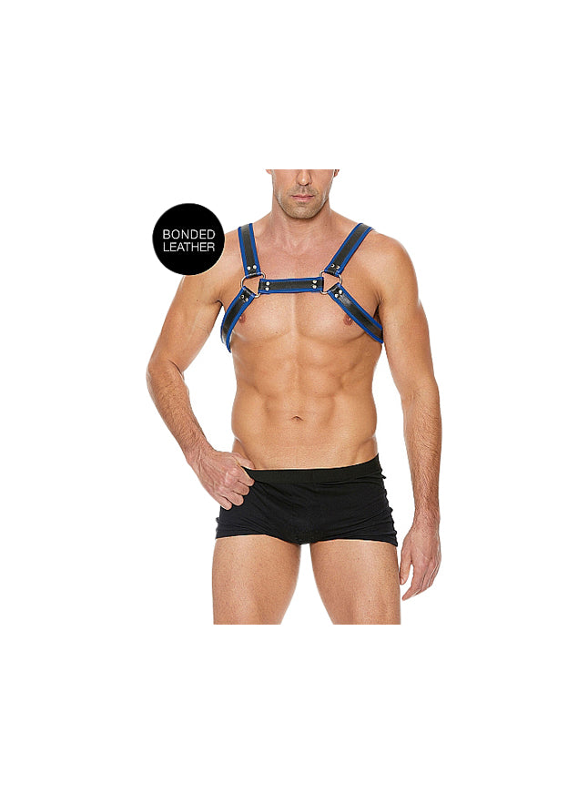 Ouch Bulldog Chest Harness Blue And Black
