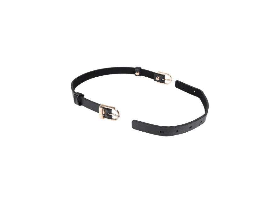 S&M Double Buckle Day Collar