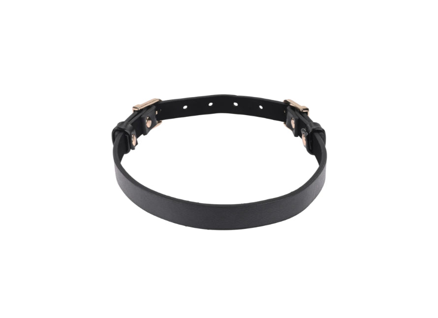 S&M Double Buckle Day Collar