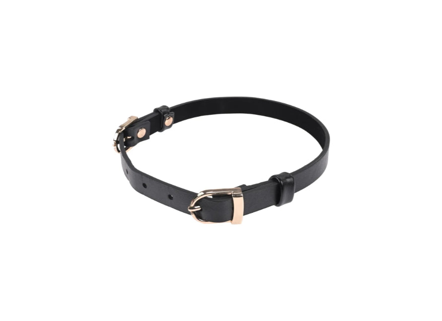 S&M Double Buckle Day Collar