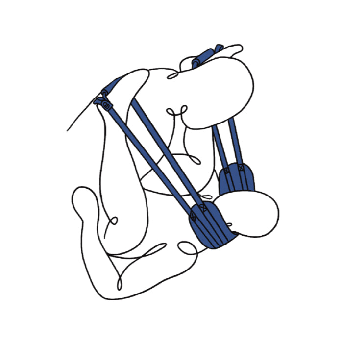Sportsheets Pivot Deluxe Doggie Strap For Enhanced Penetration