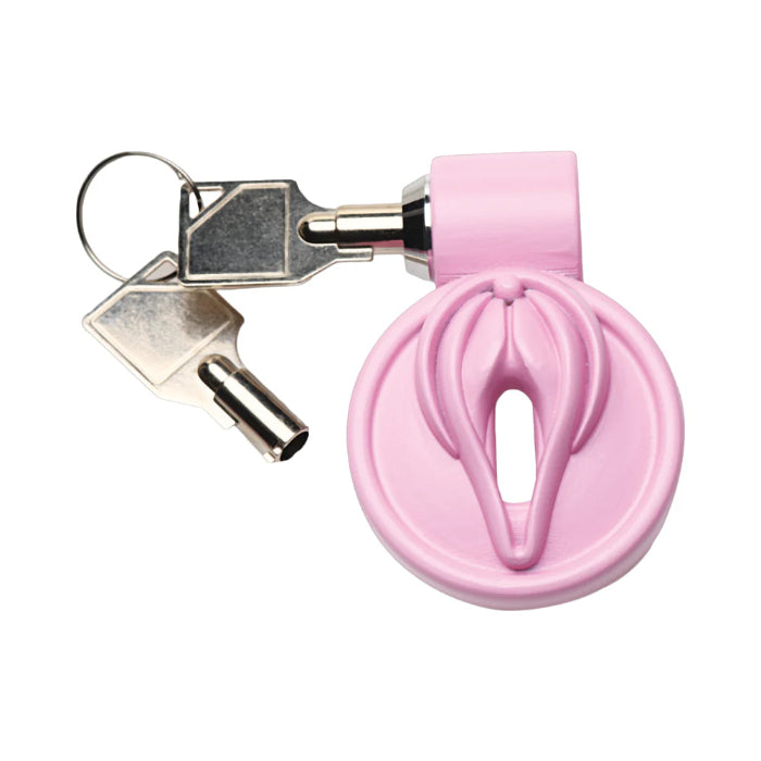 XR Master Series Pussification Vulva Locking Chastity Cage