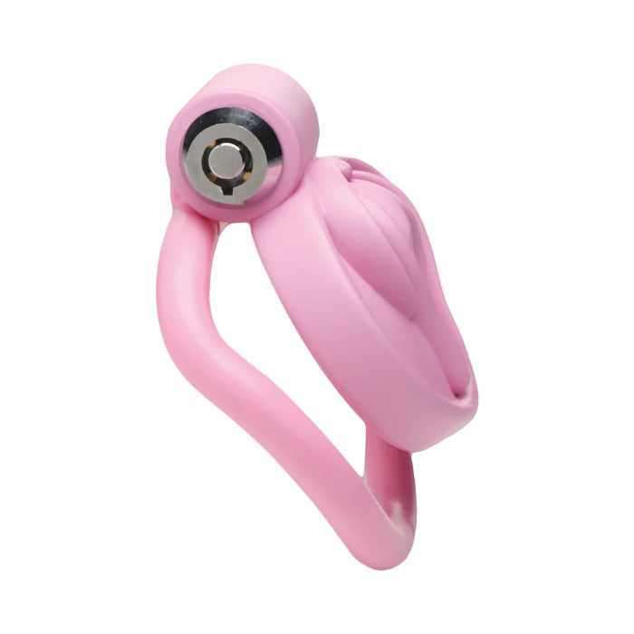 XR Master Series Pussification Vulva Locking Chastity Cage