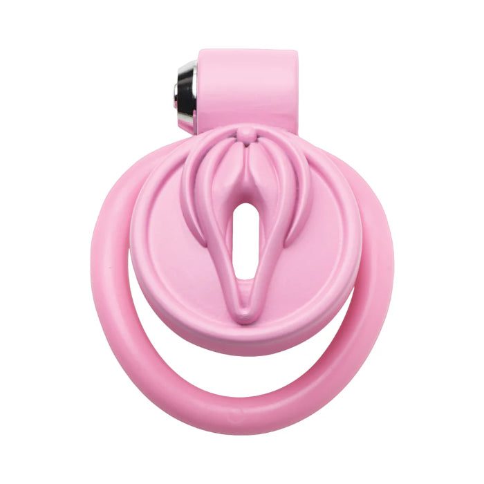 XR Master Series Pussification Vulva Locking Chastity Cage