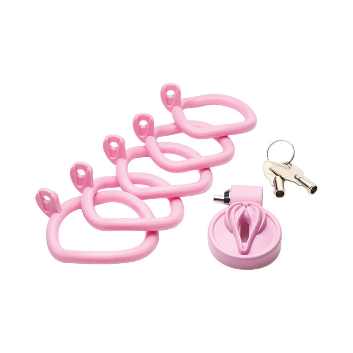 XR Master Series Pussification Vulva Locking Chastity Cage